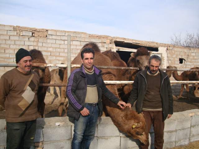 برادران عبدی